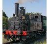 28/09/2024 - Train des Mouettes et cité de l’Huitre - SLVie Jonzac