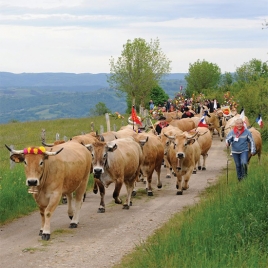Du 23 au 25/05/2025 - Week-end de la Transhumance - SLVie Jonzac