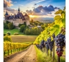 07/06/25 - À la découverte de Bergerac - SLVie Jonzac