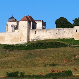 18/09/2025 - Visite de Villebois Lavalette (SLVie Jonzac)