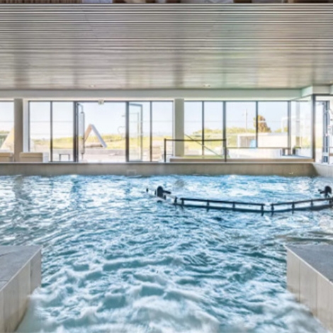05/10/2025 - Journée détente thalasso (SLVie La Rochelle)