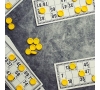 16.11.25 : Loto - SLVie Royan