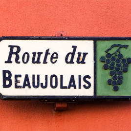 20.11.25 : Beaujolais nouveau autour d’un repas - SLVie La Rochelle