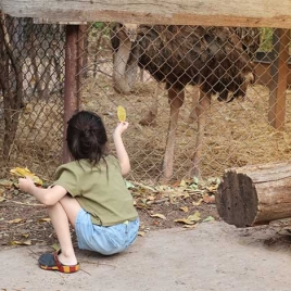 13.06.26 Ferme de Laurette Commission Jeunesse et Familles