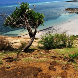 Terre d'horizon "Les Comores" - SLVie Royan